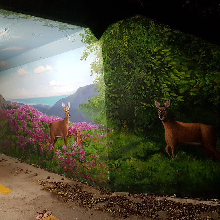 고양시 신평동 터널