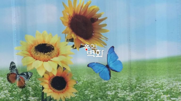 고양시꽃박람회